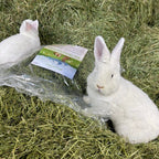 Bio-Frühlingsheu