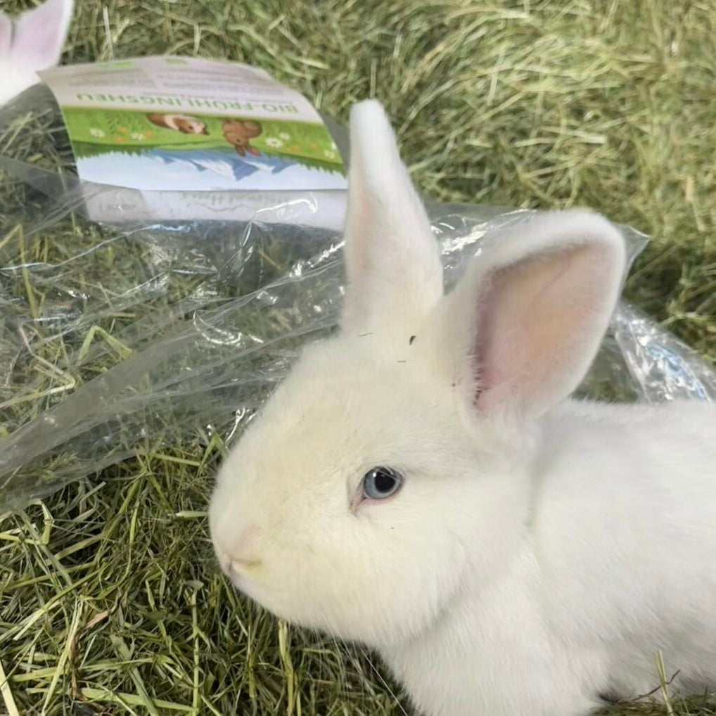 Bio-Frühlingsheu
