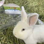 Bio-Frühlingsheu