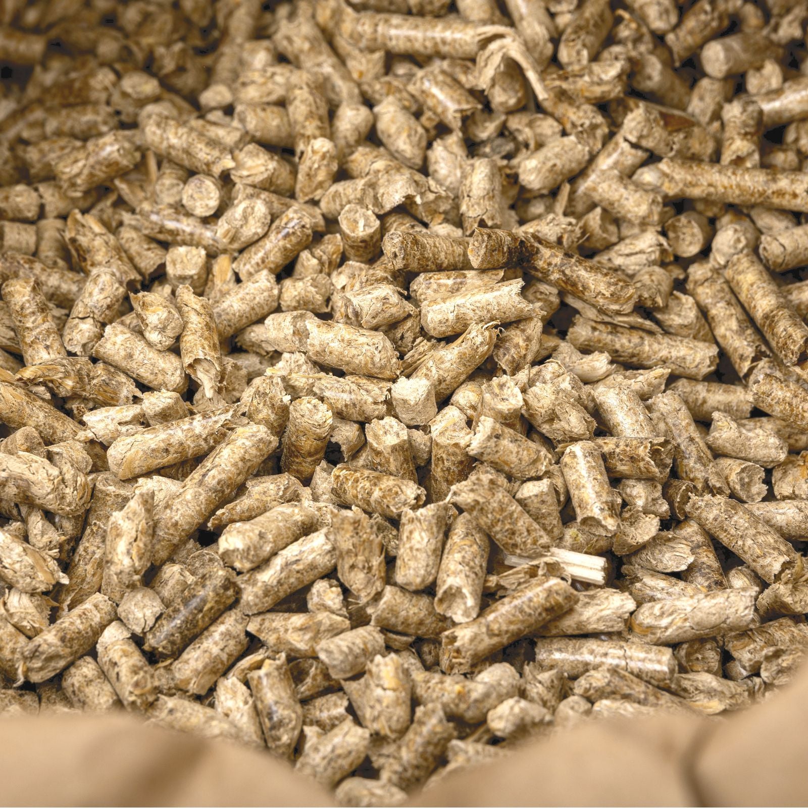 Kleintier-Einstreu-Pellets 6mm aus Miscanthus