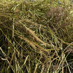 Naturschutzwiese - Blumen & Kräuterheu